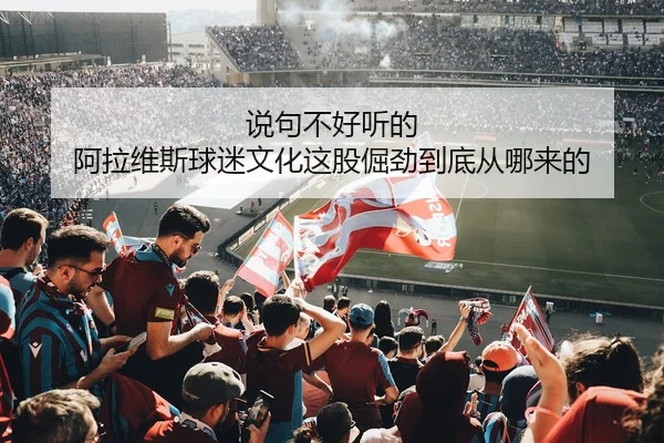 shuo-ju-bu-hao-ting-de-a-la-wei-si-qiu-mi-wen-hua-zhe-gu-jue-jin-dao-di-cong-na-lai-de-2-812.jpg