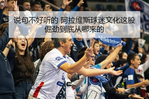 说句不好听的 阿拉维斯球迷文化这股倔劲到底从哪来的