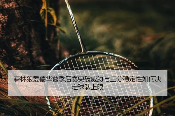 森林狼爱德华兹季后赛突破威胁与三分稳定性如何决定球队上限