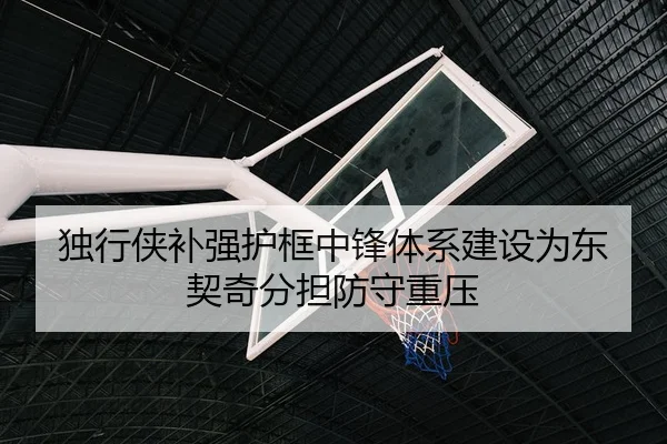 独行侠补强护框中锋体系建设为东契奇分担防守重压